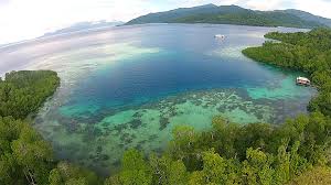 Pulau Bacan tampak dari atas